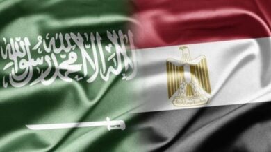 وزيرا خارجية مصر والسعودية يؤكدان ضرورة خفض التصعيد والتوتر في المنطقة