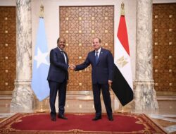 الرئيس السيسي إستقبل اليوم رئيس جمهورية الصومال الشقيقة
