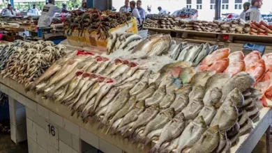 استقرت أسعار الأسماك والمأكولات البحرية خلال تعاملات اليوم السبت 7-3-2026