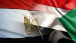 الصحة توقع بروتوكول مع السودان لمكافحة بعوضة الملاريا