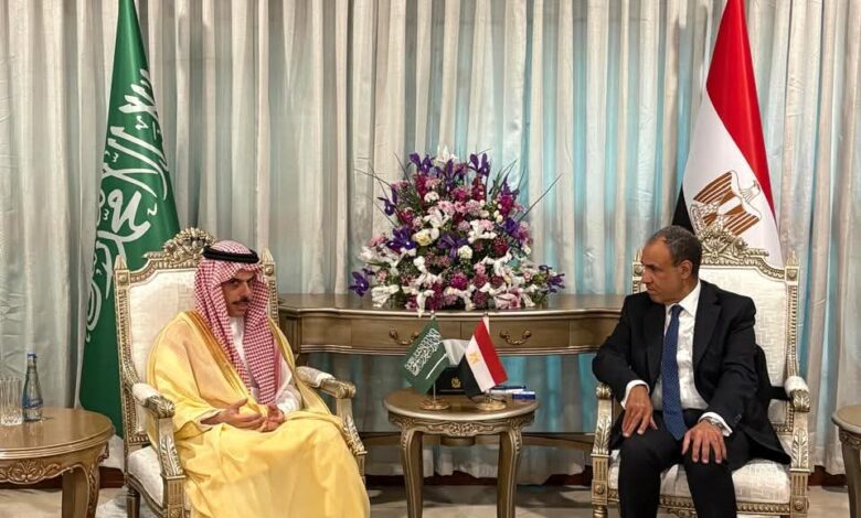 وزير الخارجية يبحث مع نظيره السعودي جهود التهدئة الإقليمية على هامش الاجتماع الوزارى الرباعي في باكستان.
