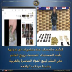 سقوط تاجر مخدرات أونلاين.. على السوشيال في قبضة الداخلية.