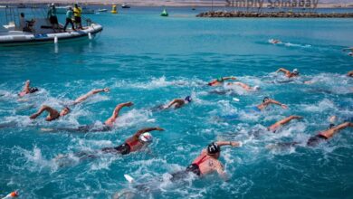 وزارة السياحة والآثار ترعى بطولتي كأس العالم للسباحة وكأس مصر للفروسية بسوما باي.