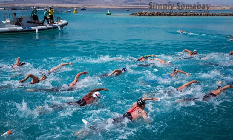 وزارة السياحة والآثار ترعى بطولتي كأس العالم للسباحة وكأس مصر للفروسية بسوما باي.