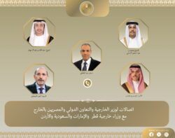 اتصالات هاتفية بين وزير الخارجية ونظرائه في قطر والإمارات والسعودية والأردن لخفض التصعيد.