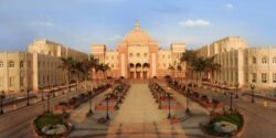 وزير العمل يبحث مع الجامعة البريطانية إنشاء منظومة لتأهيل الشباب للعمل بالخارج