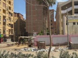 محافظ الجيزة يعاقب مسؤولي الصف بعد رصد تجمعات قمامة خلال جولة مفاجئة
