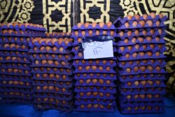 محافظ الغربية يخفض سعر بيض المائدة إلى 110 جنيهات خلال تفقده معرض «أهلاً رمضان» بالسنطة