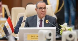 الرئيس السيسي يوجه بضرورة تقديم أقصى درجات الرعاية لأبناء الوطن في الخارج