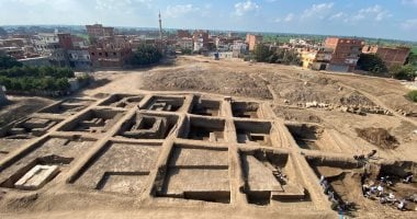 السياحة والآثار تكشف تفاصيل التمثال الضخم المكتشف بمنطقة تل فرعون بمحافظة الشرقية.
