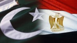 ويتكوف يشيد بجهود مصر وباكستان لوقف إطلاق النار