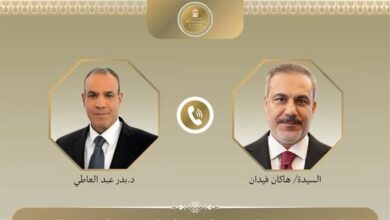 وزير الخارجية ونظيره التركي يؤكدان ضرورة تحريك المفاوضات بين أمريكا وإيران