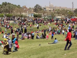 استعدادات مكثفة بالمحافظات والمحميات الطبيعية احتفالا بأعياد الربيع