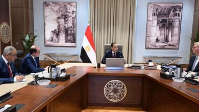 رئيس الوزراء يتابع ملفات مشتركة بين المالية والبترول لضمان استقرار الطاقة