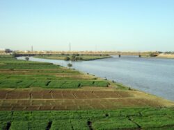 سفير أوزبكستان: تعاون مع مصر في إدارة المياه وتبادل الخبرات