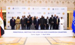 وزير الخارجية: مصر تؤكد التزامها بدعم تنفيذ الميثاق العالمي للهجرة