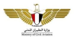 وزارة الطيران تعلن إلغاء "كارت الجوازات الورقي" للركاب المصريين بمطار القاهرة الدولي.