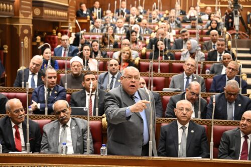 الشيوخ يناقش تعديلات التأمينات… والشهابى: تآكل المعاشات نتيجة مباشرة لتراجع الجنيه والحكومة مطالبة بالتصحيح