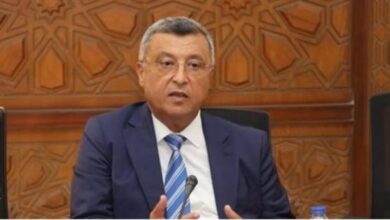 أسامة كمال: مشروع الضبعة النووي خطوة استراتيجية لتنويع مصادر الطاقة في مصر
