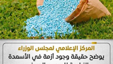 المركز الإعلامي لمجلس الوزراء يوضح حقيقة وجود أزمة في الأسمدة الزراعية للموسم الصيفي