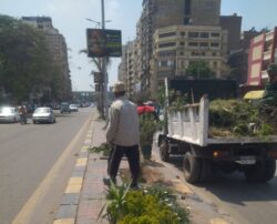 الجيزة تكثف حملات النظافة ورفع 1450 طن مخلفات بعدة قطاعات