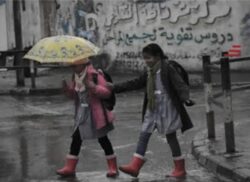 تعطيل الدراسة اليوم الخميس بالجيزة لسوء الأحوال الجوية