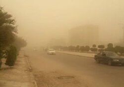 الزراعة تعلن حالة الطوارئ الشاملة لمواجهة التقلبات الجوية