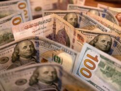 صعود الجنيه مقابل الدولار اليوم