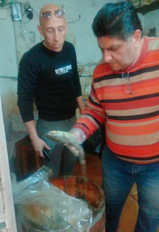 محافظة الإسكندرية ضبط 350 كجم أسماك مملحة غير صالحة للاستهلاك الآدمي