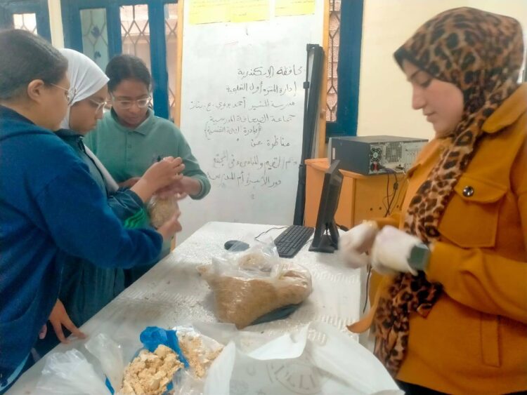 مديرية الزراعة بالإسكندرية وورشة عمل طريقة زراعة المشروم المحاري في المنزل