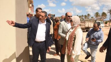 نائب محافظ الإسكندرية تتفقد السوق الحضاري بقرية بهيج ببرج العرب