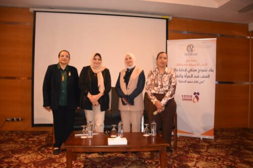 ندوة موسعة بالإسكندرية لمناهضة العنف ضد المرأة