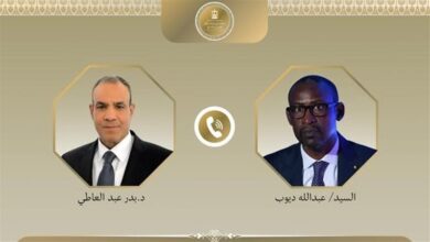 وزير الخارجية لنظيره المالي لا تسامح مع الإرهاب ومصر تدعم مالي