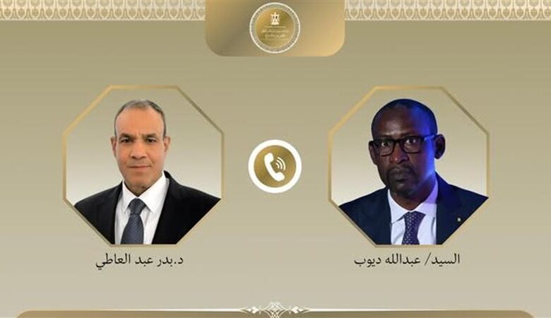 وزير الخارجية لنظيره المالي لا تسامح مع الإرهاب ومصر تدعم مالي
