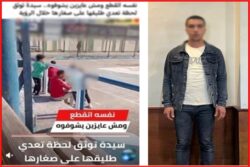 أمام أعين الجميع.. أب يعتدي على طفليه أثناء “الرؤية” داخل نادٍ رياضي بدمياط
