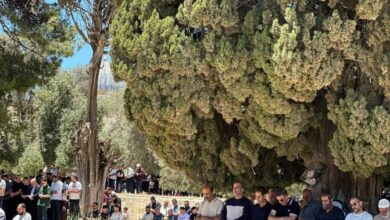 المسجد الاقصى:60 ألف مصلٍ يؤدون الجمعة في ثالث أيام العيد