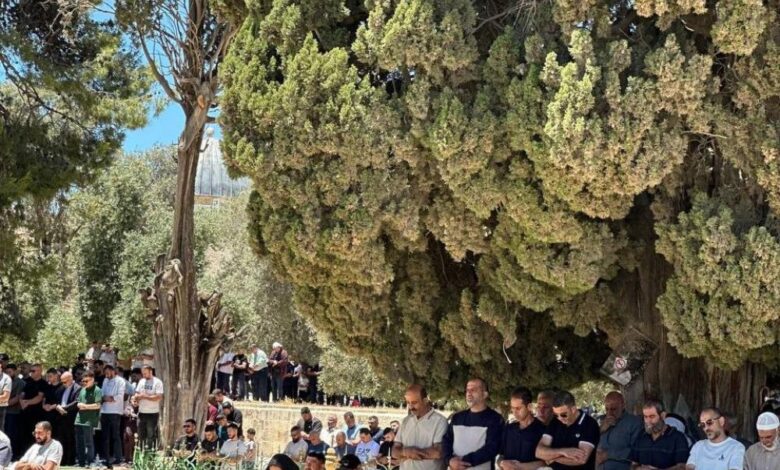 المسجد الاقصى:60 ألف مصلٍ يؤدون الجمعة في ثالث أيام العيد
