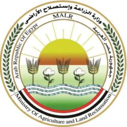 "الزراعة" تصدر حزمة توصيات عاجلة للمزارعين والمربين لمواجهة التقلبات الجوية الحادة.