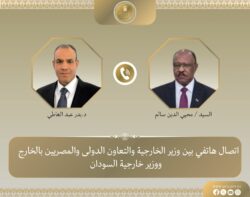 وزير الخارجية يبحث هاتفيًا مع نظيره السوداني تطورات الأزمة في السودان.