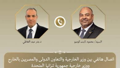 وزير الخارجية ونظيره التنزاني يبحثان تعزيز الشراكة الثنائية
