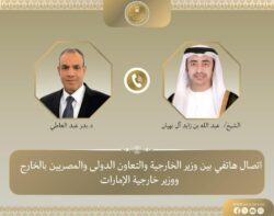 وزير الخارجية يبحث ونظيره الإماراتي التطورات الاقليمية