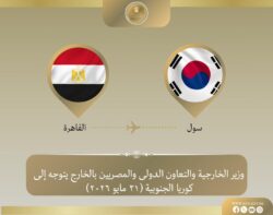 وزير الخارجية يتوجه إلى سول