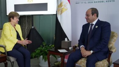 الرئيس السيسي يطالب مؤسسات التمويل الدولية بدعم استقرار الدول النامية.