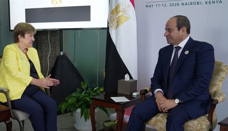 الرئيس السيسي يطالب مؤسسات التمويل الدولية بدعم استقرار الدول النامية.