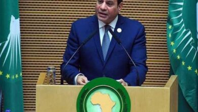 الرئيس السيسي: مصر ستظل شريكا فاعلا في دعم مسيرة التنمية والبناء بالدول الإفريقية