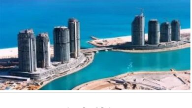 من الحفلات إلى المسرح.. هكذا صنع مهرجان العلمين تجربة ترفيهية متكاملة
