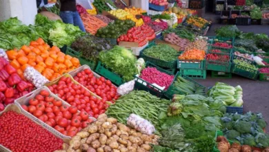 إنخفاض ملحوظ في أسعار الطماطم والخضار