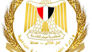 التموين: تحرير 4416 مخالفة وضخ مستمر للسلع واللحوم بالأسواق خلال أيام عيد