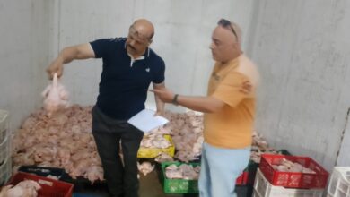 تموين الإسكندرية ضبط أكثر من 2 طن دواجن مجمدة عليها علامات التلف