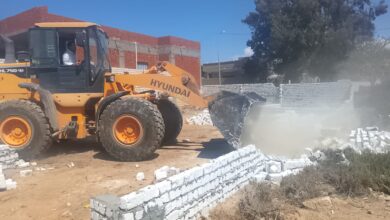 تنفيذ حملات مكثفة لإزالة مخالفات البناء والتعديات على الأراضي الزراعية بأحياء الإسكندرية